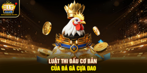 Luật thi đấu cơ bản của Đá gà Cựa Dao