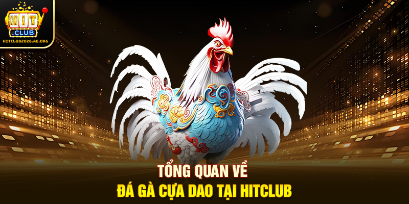 Tổng quan về Đá gà Cựa Dao tại Hitclub