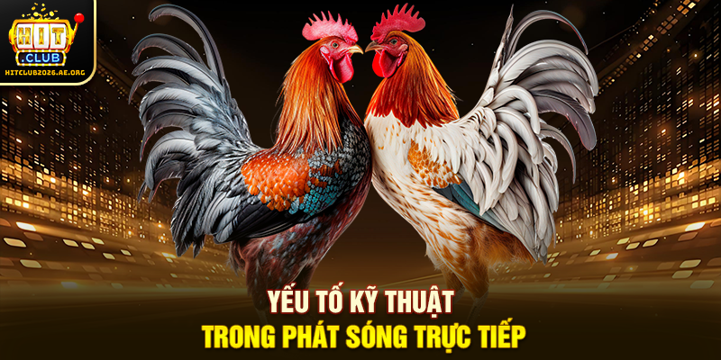 Yếu tố kỹ thuật trong phát sóng trực tiếp